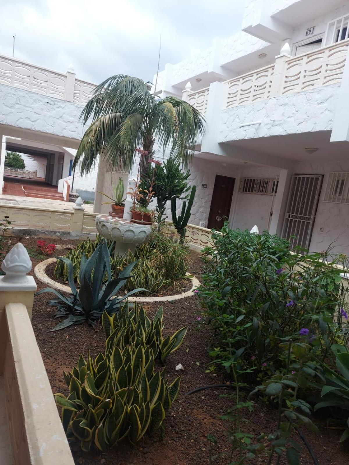 Apartamento Casa Papagayo Arona  Exterior foto